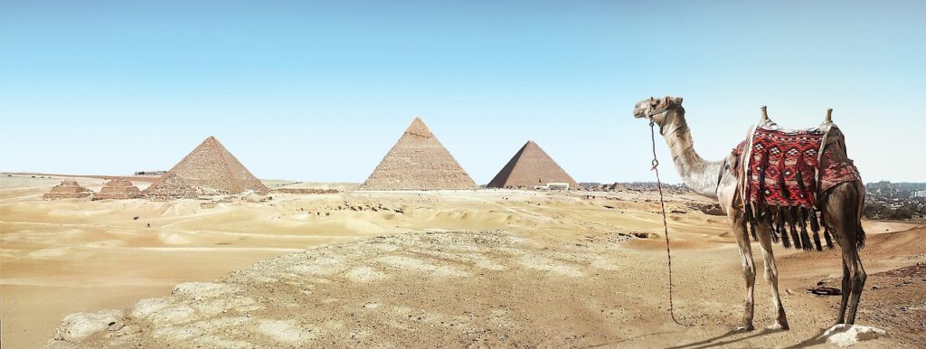 Kamel, wueste, Pyramiden